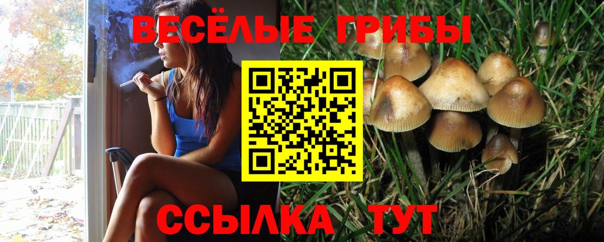 Псилоцибиновые грибы мухоморы Пушкино